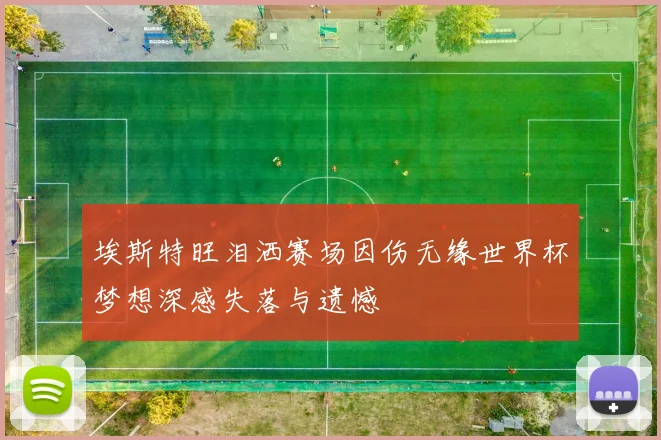 埃斯特旺泪洒赛场因伤无缘世界杯梦想深感失落与遗憾