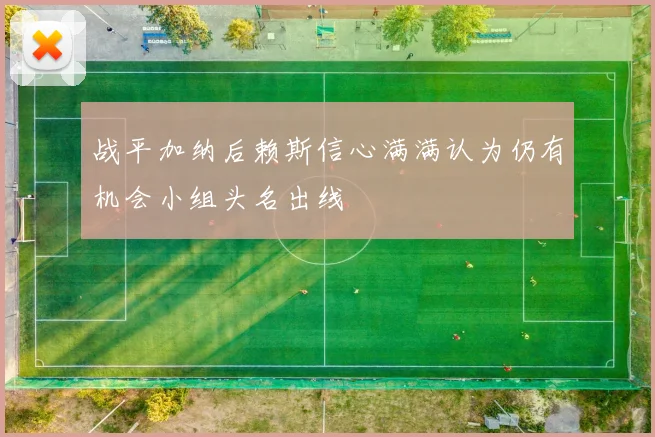 战平加纳后赖斯信心满满认为仍有机会小组头名出线