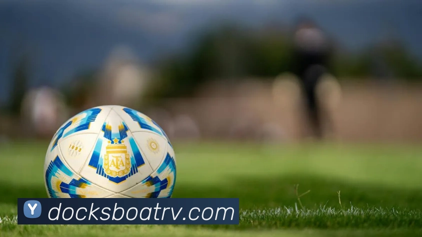mksports在线登录平台生态图